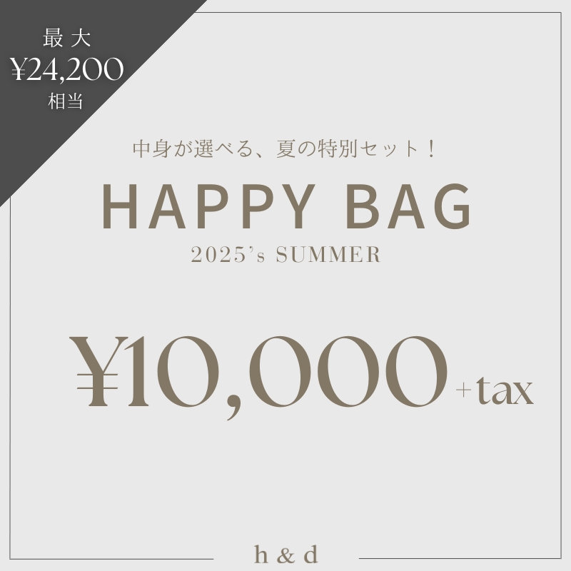 ｈ＆ｄジュエリー HAPPY BAG 11000 着用ジュエリー