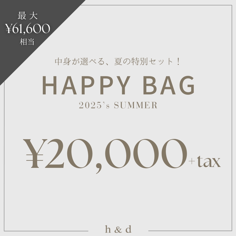 h&dジュエリー HAPPY BAG 22000 着用ジュエリー